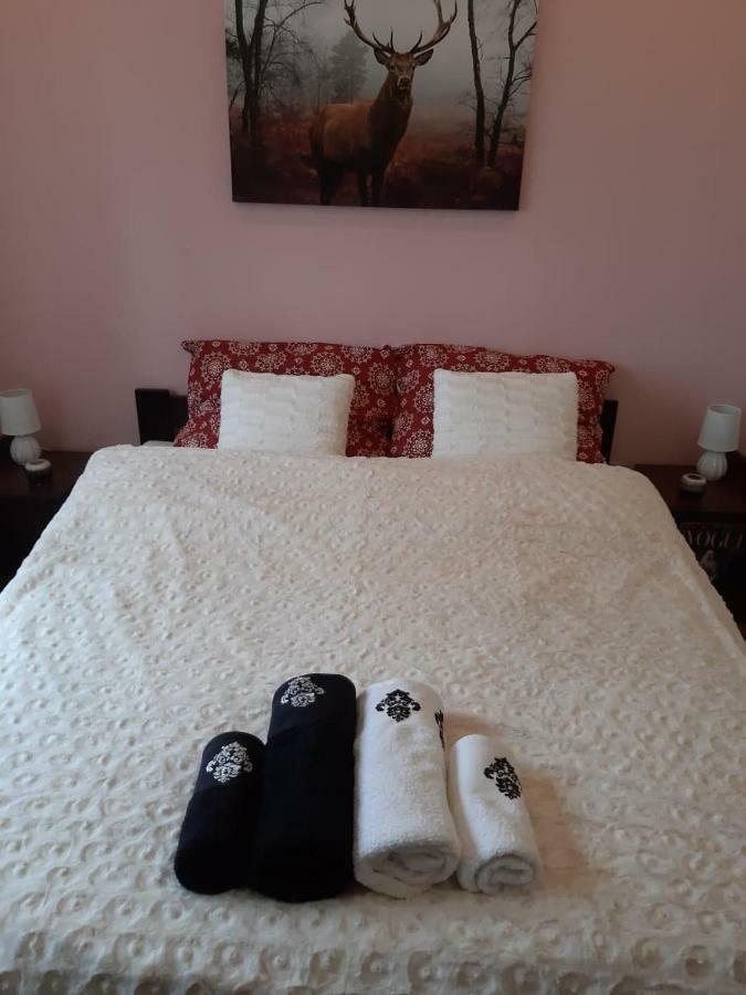 Apartament Wspanialy. Kowary Eksteriør billede